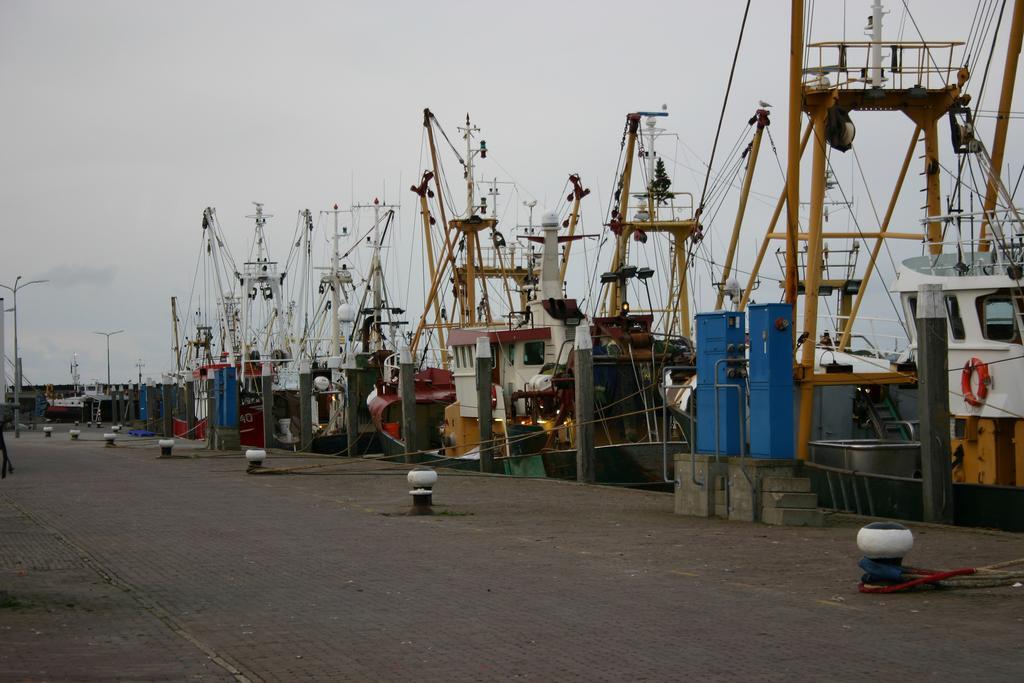Het Huis Van De Wadden Den Oever Exterior photo